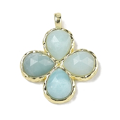 Flower Amazonite Граненые подвески из натурального цветка амазонита, Подвески в виде клевера с латунными застежками с гальваническим покрытием., золотые, 30~31x25.5x5.5~6 мм, отверстие : 4x3 мм