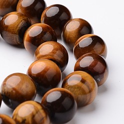 Тигровый глаз Круглый природных тигровый глаз шарик нити, класс А, 12 мм, отверстие : 1 мм, около 32~33 шт / нитка, 15 дюйм