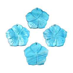 Deep Sky Blue Natural Freshwater Shell Pendants, Dyed, Flower, Deep Sky Blue, 50~52x50~52x4~5mm, Hole: 2mm