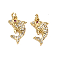 Настоящее золото 18K Латунные микро проложить кубического циркония подвески, стойки покрытие, акула, без свинца и без кадмия, долговечный, с целью перехода в кольце, реальный 18 k позолоченный, 16x10x3 мм, отверстие : 1.6 мм