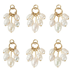 Seashell Color 6Pcs Natural Cultured Freshwater Pearl Rice Beaded Pendants, Teardrop Charms, with 304 Stainless Steel Flat Head Pins, Golden, Seashell Color, 27mm, Jump Ring: 5x1mm, Inner Diameter: 3.5mm