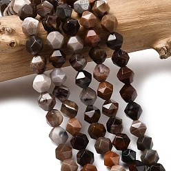 Деревянное Окаменение Природные окаменелое дерево бисер пряди, звезды вырезать круглые бусы, граненые, 5~6x5~6x5~6 мм, отверстие : 1~1.2 мм, около 64~68 шт / нитка, 14.80''~15.04'' (37.6~38.2 см)