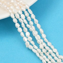 Морская Ракушка Нити из натурального культивированного пресноводного жемчуга, двух сторон полированной, класс 3а+, цвет морской раковины, 4~4.5 мм, отверстие : 0.5 мм, около 62~64 шт / нитка, 13.27~14.02'' (33.7~35.6 см)