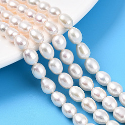Кремово-белый Нити из натурального культивированного пресноводного жемчуга, рис, кремово-белые, 7.5~8.5x6~6.5 мм, отверстие : 0.5 мм, около 45~48 шт / нитка, 14.17~14.57'' (36~37 см)
