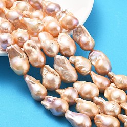 Сэнди Коричневый Нити натуральных бусин с ядровым жемчугом, барочная жемчужина кеши жемчужина, самородки, класс 5а++, песчаный коричневый, 17~21x12.5~15x12.5~15 мм, отверстие : 0.6 мм, около 20~21 шт / нитка, 15.75~16.14 дюйм (40~41 см)