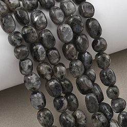 Larvikite Натуральные нити бус из ларвикита, упавший камень, самородки, 7~11x7~9x5~7 мм, отверстие : 1.2 мм, около 21~23 шт / нитка, 7.09~7.48'' (18~19 см)