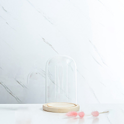 Прозрачный Стеклянный купол, декоративная витрина, колокол баночка террариум с деревянной основой, для подарка своими руками сохраненного цветка, прозрачные, 120x200 мм