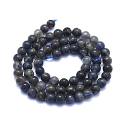 Iolite Natural Iolite Beads Strands, Round, 6mm, Hole: 1mm, about 63~70pcs/Strand, 15.35 inch(39cm)