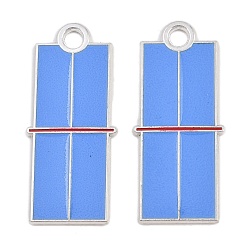 Платина Подвески из эмали и сплава, без кадмия и без свинца, спортивные темы, платина, 35x15.5x1 мм, отверстие : 2.5 мм