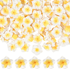 Белый 100полимерная глина ручной работы 3d цветок плюмерии бусины, белые, 15x8 мм, отверстие : 2 мм