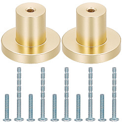 Golden 10 Sets Aluminium Alloy Cabinet Hardware, Door Handle Sets, Flat Round, Golden, 24x7.5mm