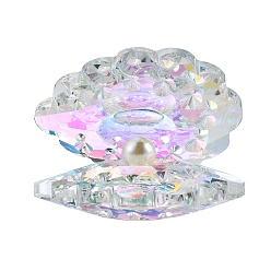 Прозрачный АВ Стеклянные дисплеи, с ABS имитации жемчуга, украшение домашнего офиса, формы раковины, ясно AB, 40x50x60 мм