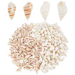 (52) Непрозрачная лаванда 4 нити 2 стили натуральные спиральные ракушечные бусины нити, разноцветные, 14~22x7~12x6~9 мм, отверстие : 1 мм, 15.35~15.75 дюйм (39~40 см), 2 пряди / стиль