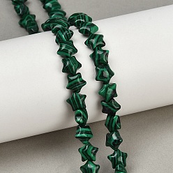 Малахит Синтетического малахита бисер нитей, звезда, 7.5x8x4.5 мм, отверстие : 0.8 мм, около 57 шт / нитка, 15.24 дюйм (38.7 см)