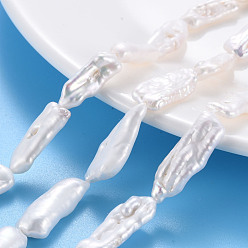 Морская Ракушка Природные Кеши жемчуг пряди, культивированный пресноводный жемчуг, самородки, цвет морской раковины, 15~34x6~12x4~7 мм, отверстие : 0.6 мм, около 14~20 шт / нитка, 14.96 дюйм (38 см)