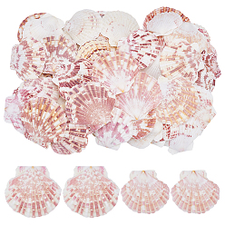 (52) Непрозрачная лаванда 2 стили натуральной оболочки, форма морского гребешка, разноцветные, 60~70 мм, 65 шт / комплект