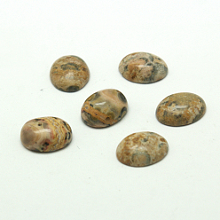 Леопардовая Яшма Натуральная леопардовая шкура яшмы, овальные, 10x8x4 мм