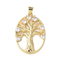Настоящее золото 18K Латунные микро проложить кубического циркония подвески, долговечный, без кадмия и без свинца, стойки покрытие, овал с подвесками в виде дерева жизни, реальный 18 k позолоченный, 30.5x20.5x3 мм, отверстие : 4x3.5 мм