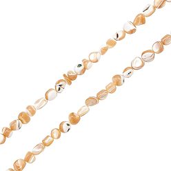 Trochus Shell 2 Strands Natural Trochid Shell/Trochus Shell Beads Strands, Nuggets Chips, 3.5~13x6~12x3~8mm, Hole: 0.9mm, about 68~73pcs/strand, 15.35 inch~15.94 inch(39~40.5cm)