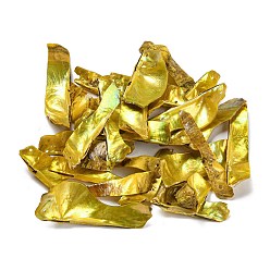 Желтый Большие подвески из натуральной ракушки акоя, окрашенные распылением, самородки прелести, желтые, 35.5~55x8~20x4~12 мм, отверстие : 1.2 мм