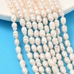 Бежевый Нити из натурального культивированного пресноводного жемчуга, рис, класса AB +, бежевые, 5~6 мм, отверстие : 0.6 мм, около 44~45 шт / нитка, 13.78'' (35 см)
