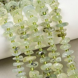 Peridoto Perlas naturales peridoto hebras, pepitas, 7.5~13x6~13x2~5 mm, agujero: 0.9 mm, sobre 68~86 unidades / cadena, 15.35~15.75'' (39~40 cm)