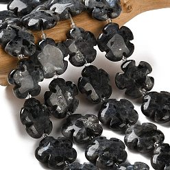 Larvikite Natural Larvikite Beads Strands, 5-Petal Flower, with Seed Beads, 20x6.5mm, Hole: 1mm, about 20pcs/strand, 15.75''(40cm)