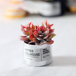Красный Модель горшка для суккулентов из смолы, украшение кукольного домика микропейзажем из мха, горшок случайного цвета, красные, 30x21 мм