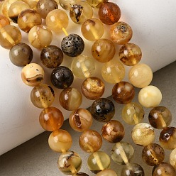 Сэнди Коричневый Янтарные шарики нити, круглые, сгладить, песчаный коричневый, 6.5~7 мм, отверстие : 0.6 мм, около 58 шт / нитка, 14.76''~14.96' (37.5~38 см)