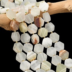 Другие Нефриты Природные Афганские нефритовые бусы пряди, форма шестиугольника, с бисером, 12~12.5x13.5~14.5x6~6.5 мм, отверстие : 0.8~1 мм, около 27~29 шт / нитка, 15.71'' (39.9 см)