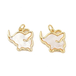 Настоящее золото 18K Подвески из латуни с натуральными белыми ракушками, Слон прелести, без кадмия и без свинца, прочное покрытие, стойки покрытие, реальный 18 k позолоченный, 16x16x2.5 мм, отверстие : 3.5 мм