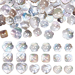 Mixed Shapes 90 шт. 9 стили 2-отверстие натуральные ракушечные пуговицы, разнообразные, 9.5~14x9.5~15x1~2.5 мм, отверстие : 1.6~2.2 мм, 10 шт / стиль