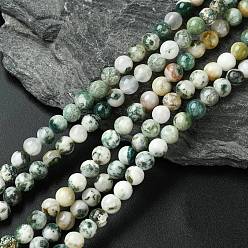 Древесный агат Натурального дерева агат бисер нитей, круглые, 6 мм, отверстие : 1 мм, около 60 шт / нитка, 14.5~14.8 дюйм