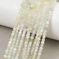 New Jade Natural New Jade Beads Strands, Smooth Round, 3mm, Hole: 0.5mm, about 134pcs/strand, 15.75''(40cm)