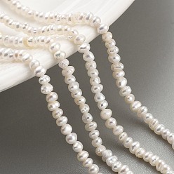 Old Lace Natural Cultured Freshwater Pearl Beads Strands, Potato, Old Lace, 2~2.5mm, Hole: 0.5mm, about 90pcs/strand, 7.80~7.95 inch(19.8~20.2cm)