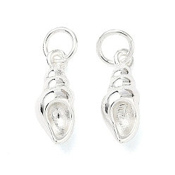 Посеребрённый Латунные подвески, подвески в форме раковины, долговечный, без свинца и без кадмия, стойки покрытие, с целью перехода в кольце, 925 серебро покрытием, 13.5x5.3x5 мм, отверстие : 3.5 мм