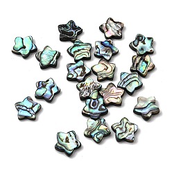 Разноцветный Натуральные бусинки из ушка, звезда, красочный, 15.5x16x3.5 мм, отверстие : 1 мм