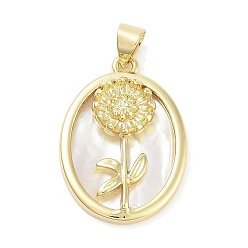 Настоящее золото 18K Стойки с латунными подвесками из ракушек, овал с цветочными подвесками, долговечный, без свинца и без кадмия, реальный 18 k позолоченный, 25x17.5x3 мм, отверстие : 5x3.5 мм