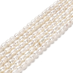 Old Rose Natural Cultured Freshwater Pearl Beads Strands, Rice, Grade 4A, Old Rose, 5~5.5x3~3.5mm, Hole: 0.5mm, about 67~69pcs/strand, 14.17''(36cm)