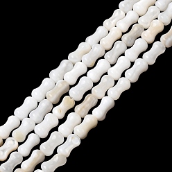 Морская Ракушка Естественных пресноводных оболочки бисер нитей, арахис, цвет морской раковины, 5.5~6x3~3.5 мм, отверстие : 0.5 мм, около 65~66 шт / нитка, 14.57~15.16'' (37~38.5 см)