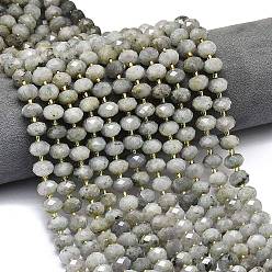 Лабрадорита Природные лабрадорита бисер нитей, граненые, рондель, с бисером, 8.5~10x5.5~6.5 мм, отверстие : 1 мм, около 43~45 шт / нитка, 15.35'' (39 см)