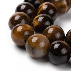 Tiger Eye Natural Tiger Eye Round Bead Strands, 14mm, Hole: 1.2mm, about 28pcs/strand, 15.3 inch