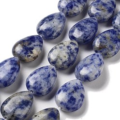 Jaspe Avec Point Bleu Perles de jaspe tache bleue naturelle, larme plat, 17.5~18x13~13.5x6mm, Trou: 1.2~1.4mm, Environ 11 pcs/chapelet, 7.56'' (19.2 cm)
