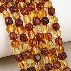 Couleur Mélangete Colliers de perles d'ambre naturel bicolores, nuggets, pierre tombée, couleur mixte, 5.5~7x5.5~6.5x5~6.5mm, Trou: 0.7mm, Environ 56~57 pcs/chapelet, 13.78''~14.17'' (35~36 cm)