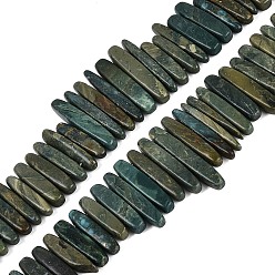 Other Jade Natural Shoushan Jade Beads Strands, Irregular Stick, Top Drillded, 12~49x3~9x4~9mm, Hole: 0.8~1mm, about 55~68pcs/strand, 14.76~17.13 inch(37.5~43.5cm)
