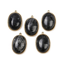 Лабрадорита Природные подвески лабрадорита, 304 из нержавеющей стали овальные амулеты, реальный 14 k позолоченный, 22x14.5~15x6.5~8 мм, отверстие : 1.5 мм