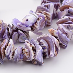 Medium Orchid Natural Shell Bead Strands, Dyed, Nuggets, Medium Orchid, 10~20x8~12x3~6mm, Hole: 1mm, about 15.7 inch