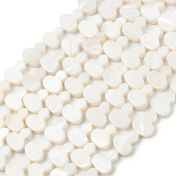 Морская Ракушка Естественных пресноводных оболочки бисер нитей, Горлянка, цвет морской раковины, 10.5~12x8.5~10.5x3.5~4 мм, отверстие : 0.5 мм, около 33~34 шт / нитка, 15.16''~15.55'' (38.5~39.5 см)