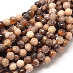 Fossil Natural America Fossil Stone Round Bead Strands, 6mm, Hole: 1mm, about 62pcs/strand, 16.1 inch