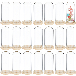 Прозрачный 30 шт. купольная крышка из арочного стекла, декоративная витрина, террариум в виде колокольчика, с 30настройками для деревянных подносов, прозрачные, 3x7 см